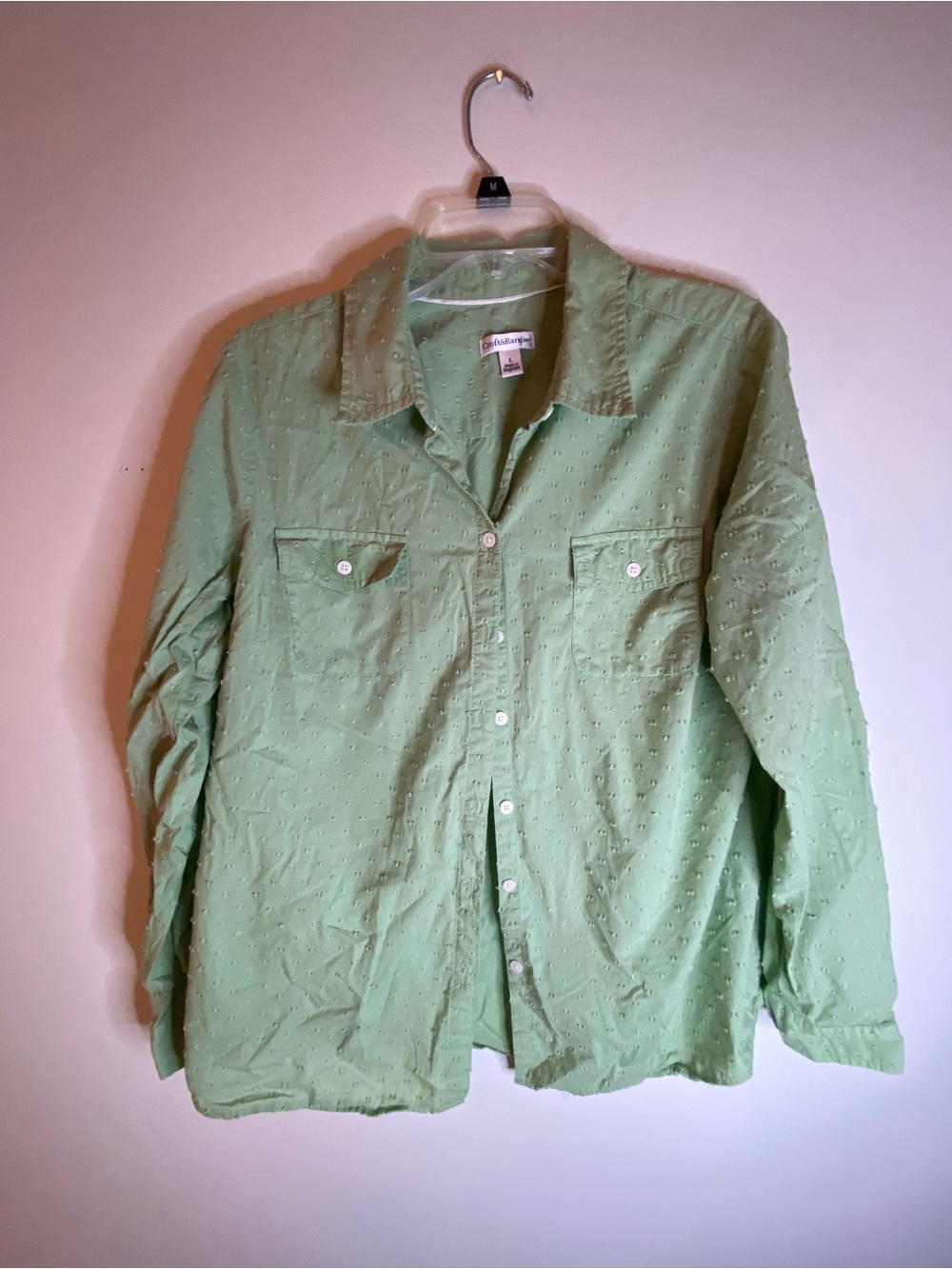croft & barrow Light Green Button-Down